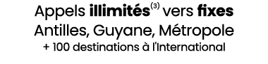 Appels illimit s(3) vers fixes Antilles, Guyane, M tropole + 100 destinations  l'International