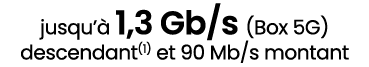 jusqu’ 1,3 Gb/s (Box 5G) descendant(1) et 90 Mb/s montant