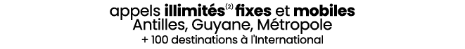 appels illimit s(2) fixes et mobiles Antilles, Guyane, M tropole + 100 destinations  l'International