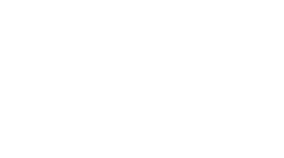 19,99€