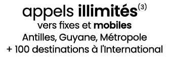 appels illimit s(3) vers fixes et mobiles Antilles, Guyane, M tropole + 100 destinations  l'International