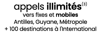 appels illimit s(3) vers fixes et mobiles Antilles, Guyane, M tropole + 100 destinations  l'International
