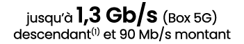 jusqu’ 1,3 Gb/s (Box 5G) descendant(1) et 90 Mb/s montant