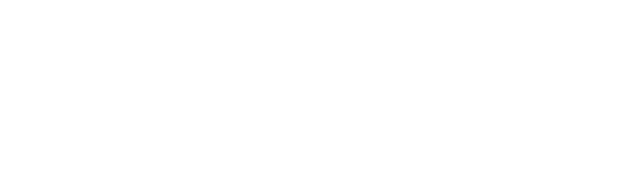 SFR PRO TEAM