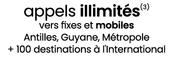 appels illimit s(3) vers fixes et mobiles Antilles, Guyane, M tropole + 100 destinations  l'International