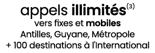 appels illimit s(3) vers fixes et mobiles Antilles, Guyane, M tropole + 100 destinations  l'International