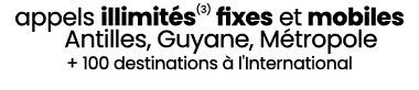 appels illimit s(3) fixes et mobiles Antilles, Guyane, M tropole + 100 destinations  l'International