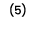 (5)