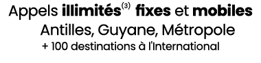 Appels illimit s(3) fixes et mobiles Antilles, Guyane, M tropole + 100 destinations  l'International