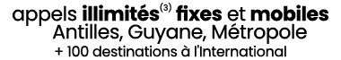 appels illimit s(3) fixes et mobiles Antilles, Guyane, M tropole + 100 destinations  l'International