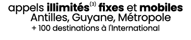 appels illimit s(3) fixes et mobiles Antilles, Guyane, M tropole + 100 destinations  l'International