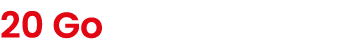 20 Go 
