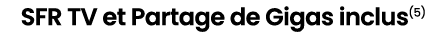 SFR TV et Partage de Gigas inclus(5) 