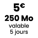 5€ 250 Mo valable 5 jours