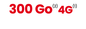 300 Go(2)4G(1)