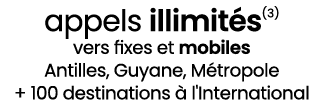 appels illimit s(3) vers fixes et mobiles Antilles, Guyane, M tropole + 100 destinations  l'International
