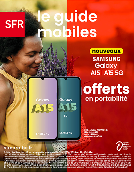Catalogue SFR