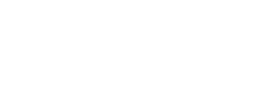 300 Go