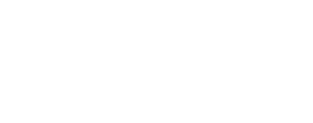 300 Go