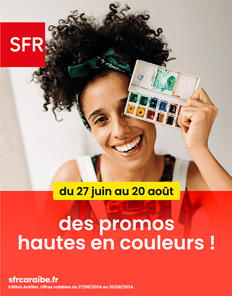 Catalogue SFR