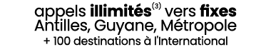 appels illimit s(3) vers fixes Antilles, Guyane, M tropole + 100 destinations  l'International