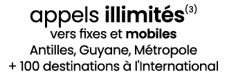 appels illimit s(3) vers fixes et mobiles Antilles, Guyane, M tropole + 100 destinations  l'International