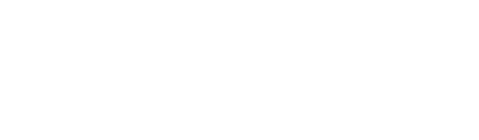 SFR PRO TEAM
